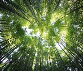 © Kazuend - Unsplash