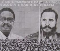 Tropicalites Sans Titre 1