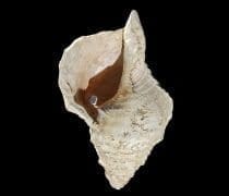 Wired Science Lede Fritz5hr