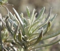 4 33mag Musique Nature Fm 30mars21 5 Web1000 750x400