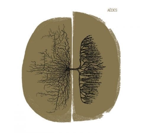 Auxsons World Music Vibes Online