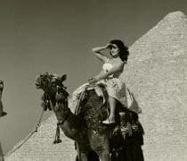 Pam Pan African Music 491ce994 Dalida Devant Les Pyramides A Gizeh