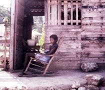 Tropicalites 838 Gettyimages 1150860527