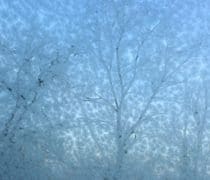 Img 0973 4 33 Magazine Web1000 750x400