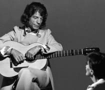 Comme Il Vous Plaira