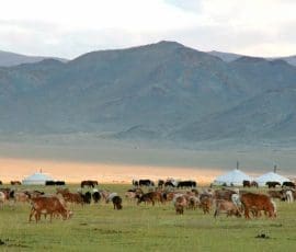 Paysage de Mongolie © Nomindari Shagdarsuren