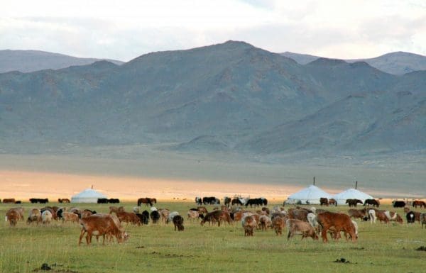 Paysage De Mongolie © Nomindari Shagdarsuren