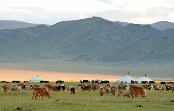 Paysage de Mongolie © Nomindari Shagdarsuren