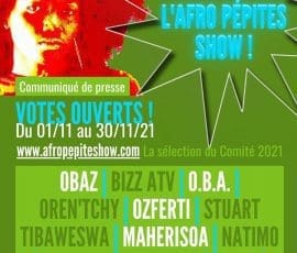 Cp Aps11 Par Le Reve Africain(2)