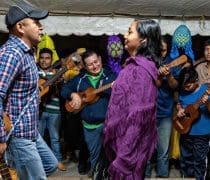 Songlines Fandango Richard Ellis Alamy Stock Photo Paid