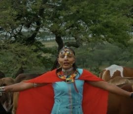 Nookisho du duo Multisystem X