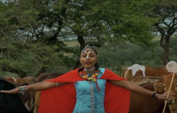 Nookisho du duo Multisystem X