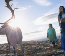 Capture D’écran 2023 01 17 À 11.22.09